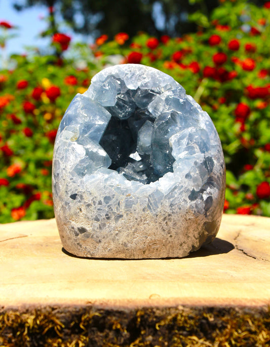 Celestite activates the crown and third eye chakras for higher intuition and psychic abilities