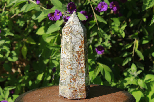 Ibis Jasper known for recovery after trauma