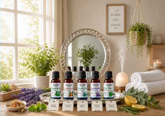 USDA Organic & 100% Pure Essential Oils | Natural Aromatherapy for Wellness, Relaxation & Everyday Living | Bundle 3 or 5 bottles