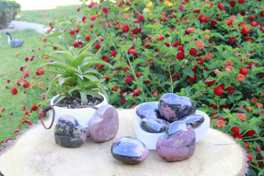 heart shaped rhodonite stones in various shades of pink and purple, displayed on a wooden surface with a potted plant in the background.