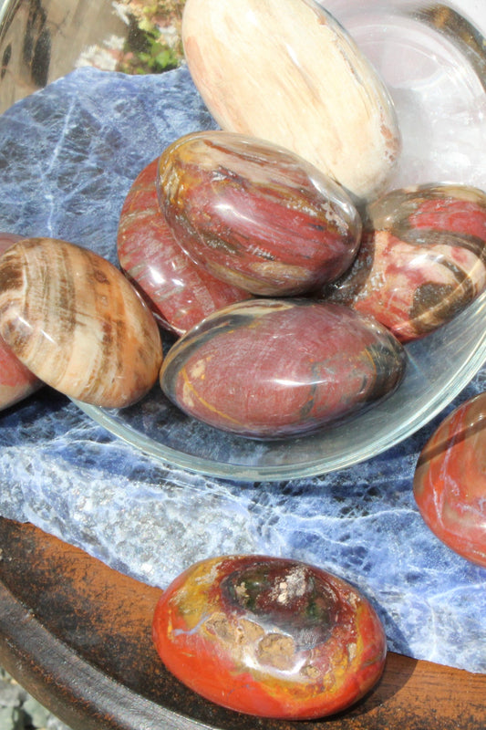 Petrified Wood palm stone known for balance and grounding properties