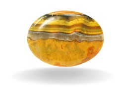 BUMBLE BEE JASPER