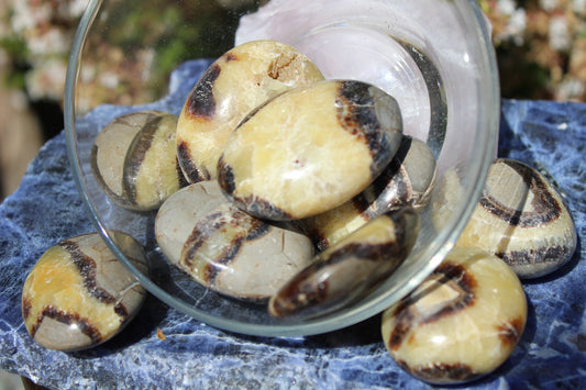 palm stone - Septarian - large