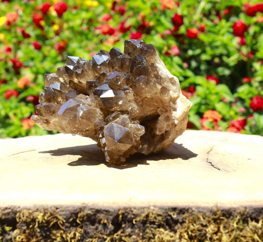 Specimen - Congo Citrine Cluster - large