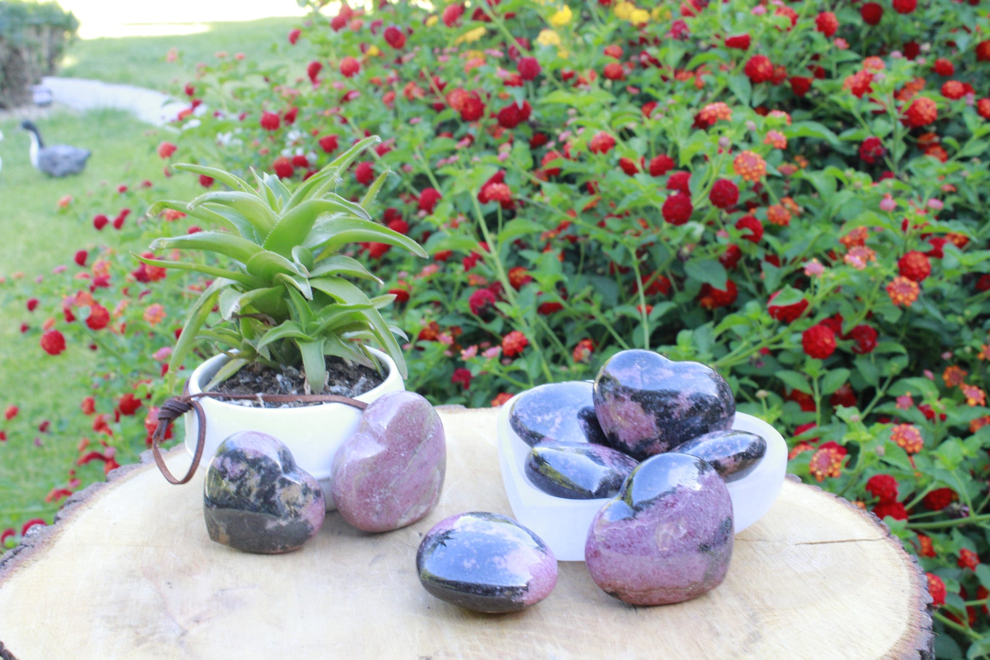 heart shaped rhodonite stones in various shades of pink and purple, displayed on a wooden surface with a potted plant in the background.
