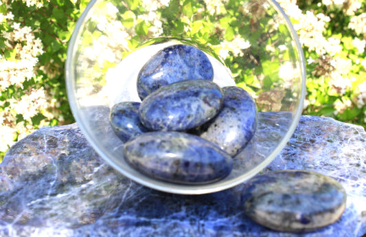 palm stone - Sodalite - large